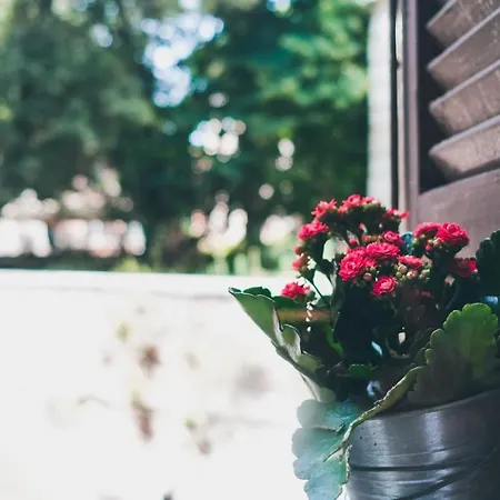 Appartement Loft Acasadicri Trastevere A Good Vibes *